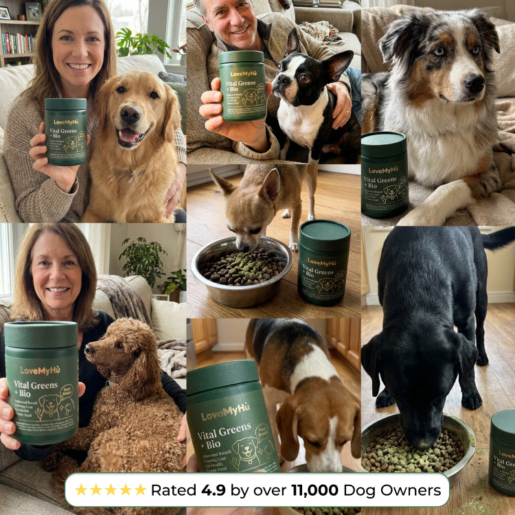 Vital Greens Dog Supplement